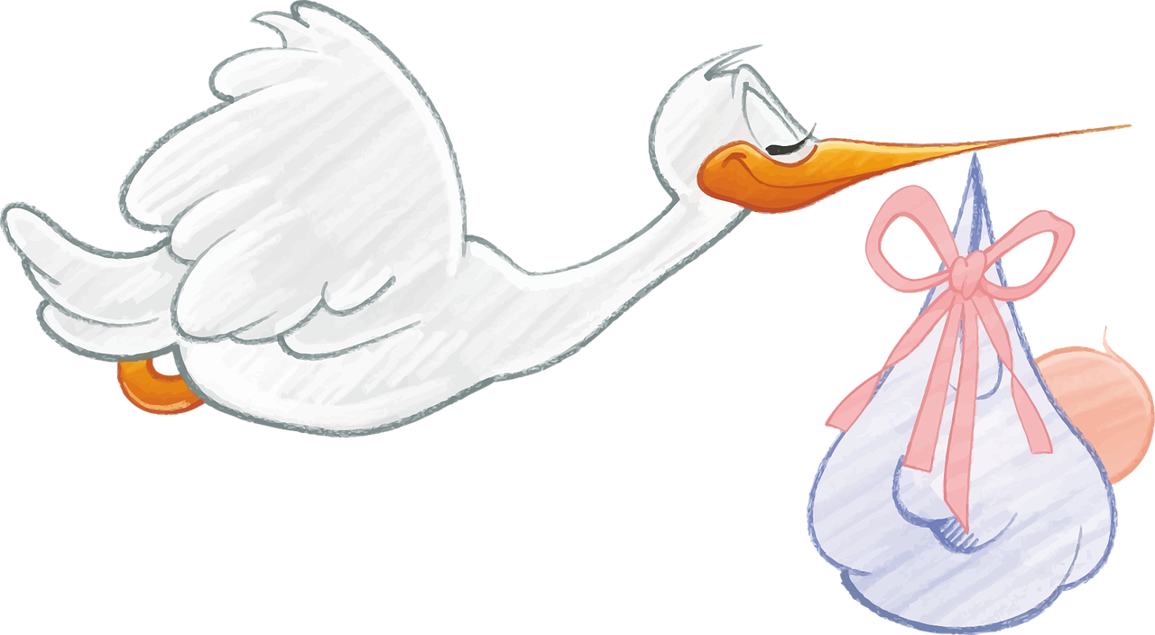 Stork delivering a baby – Image Stork delivering a baby – Image
